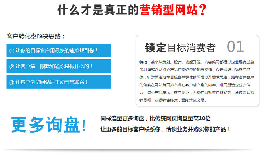 海外推广营销型网站建设  第1张